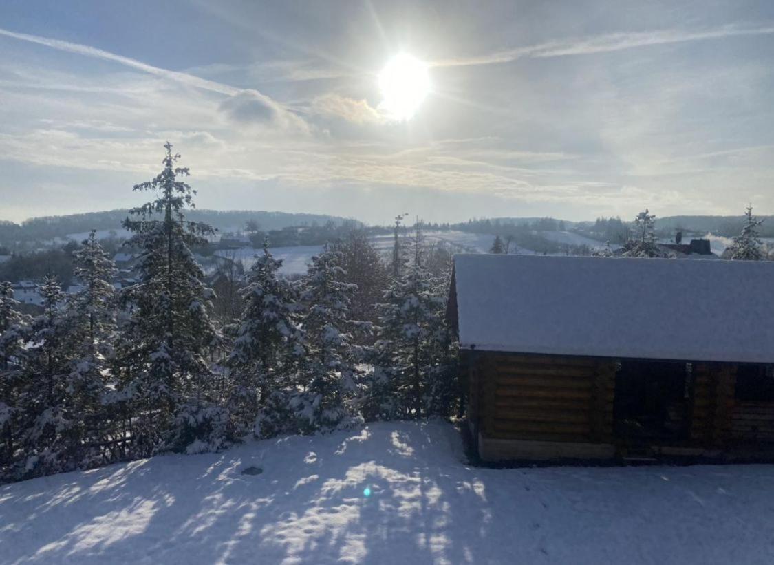 Blockhaus Grillenberg (Sangerhausen) Exterior foto